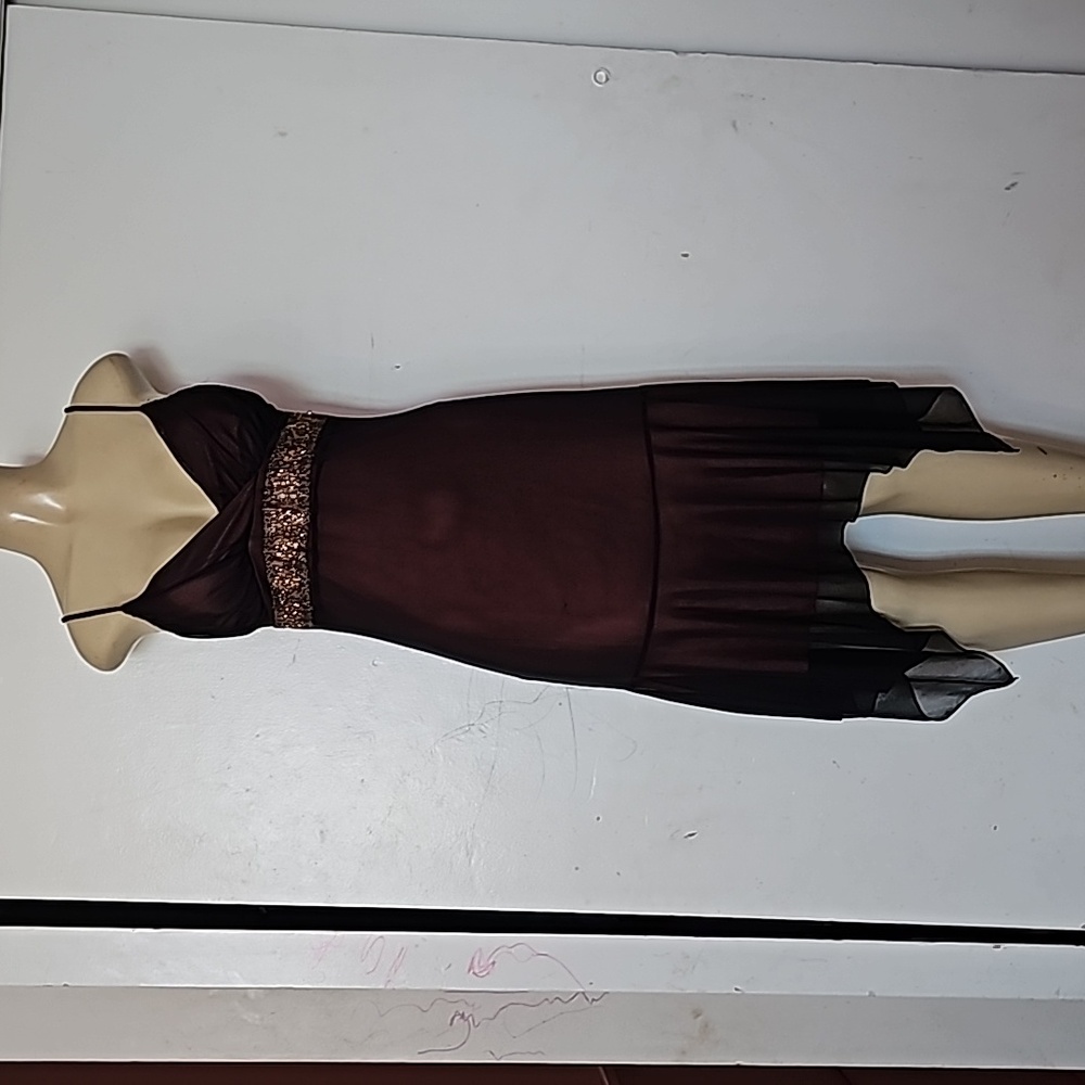 Size Large dress from Georgiou